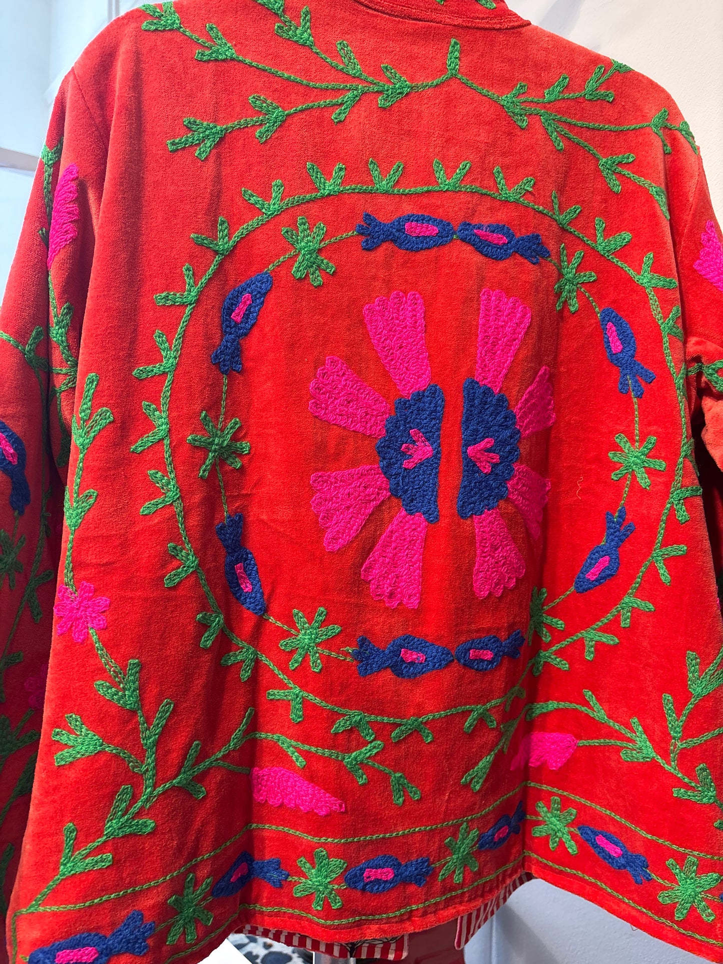 Fluwelen suzani-ruim