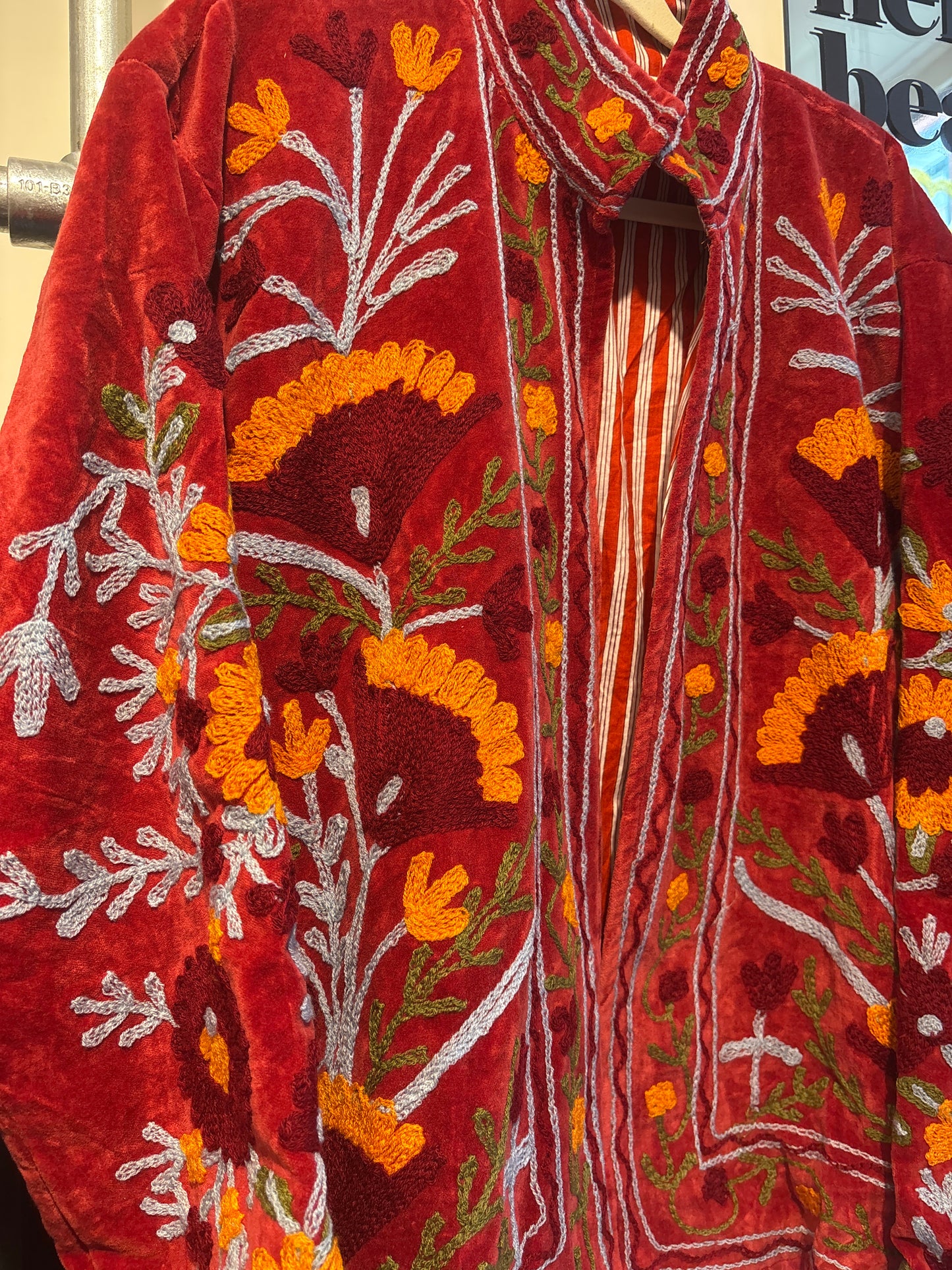 Fluwelen suzani-ruim