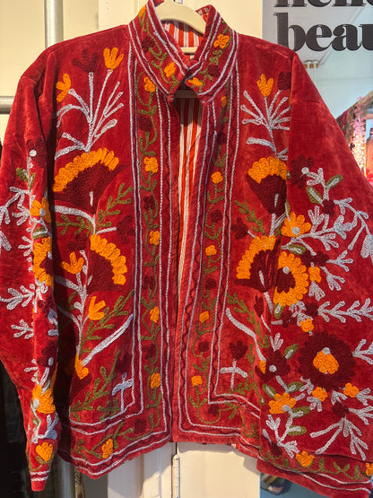 Fluwelen suzani-ruim